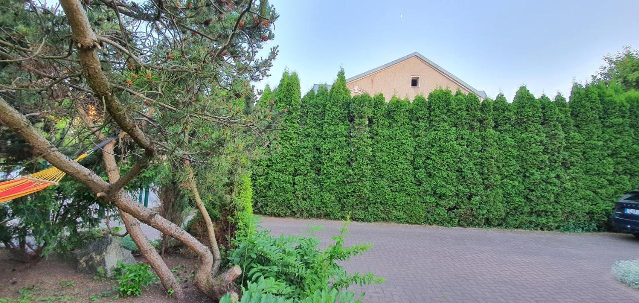 Vila Rock Hotel Palanga Kültér fotó